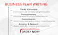 write a professional business plan with financial forecast and strategy