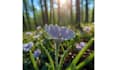 beautiful flower views background