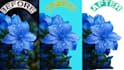 cut out background cleanly plean