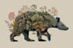 draw botanical and animal designs