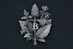 design a custom botanical logo
