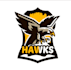 create professional unique falcon bird eagle logo