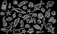 draw custom doodle art illustration
