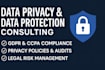 write gdpr and ccpa privacy policy, terms and conditions, terms for your website