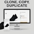 clone shopify store, copy shopify store, duplicate,replicate design and redesign