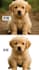 remove background and enhance your photos