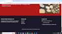 design any modern responsive websites