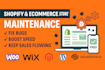 be shopify ecommerce store maintenance manager to fix website bugs functionality