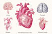 draw exercise, medical and anatomy illustrations