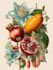 draw botanical and animal designs and patterns for you