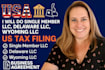 do single member llc, delaware llc wyoming llc US tax filling business agreement
