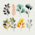 create vintage hand drawn illustration