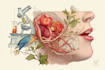 design medical and scientific illustration