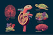 create scientific and medical illustration or logo