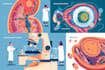 do medical and scientific illustrations