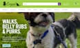 create dog walking website pet care website kennel website dog walking website