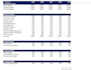 build a customized financial model and business planning