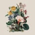 draw digital botanical illustration