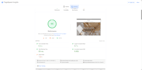 speed up your shopify store and optimize shopify page speed