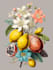 draw a scientific illustration