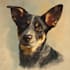 do a custom pet portrait, dog portrait, cat portrait