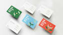 create bold art directions, brand identity, and graphics