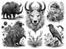 draw black and white illustrations