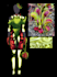do your fashion designs