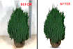 model retouch and professional image masking service