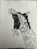 draw your pet cats dogs birds