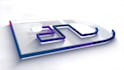 do professional custom logo animation intro and outro video