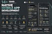 develop a professional android and ios mobile app