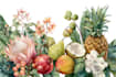 draw botanical illustration of flower illustration