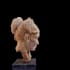 do sculptures in any medium like terracotta stone fiberglass