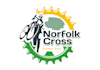 do modern professionall biker logo design
