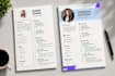 write professional ats friendly resume, cover letter