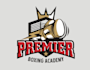 do modern high quality boxing logo