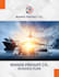 prepare an investor ready business plan summary