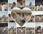 create amazing photo slideshow video like wedding birthday