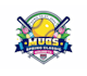 design professional softball logo in 24 hour