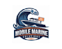 design a professional marine logo