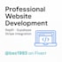 design and build a professional website in replit