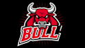 make an amazing angry bull mascot logo in 12 hours