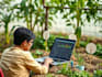 develop agricultural software applications