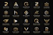 design a custom, unique and professional logo for you