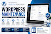 provide a fast wordpress update and maintenance service
