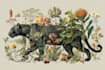 draw an animal and botanical illustration