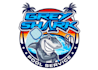 design luxury pool service logo