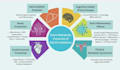 write professional medical content