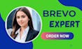 brevo email template brevo campaign setup automation and newsletter mailerlite